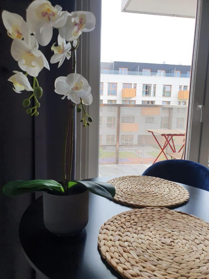 Osiedle Ptasie, New - Lux - Priv Parking Katowice Kültér fotó